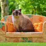 11 sofaarrangementer til L-formede stuer