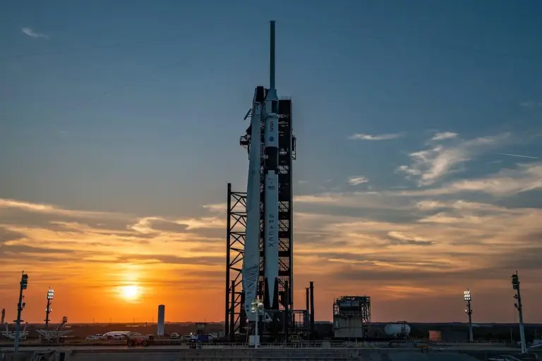 Hvem ringer fra telefonnummer 77401639