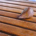 Hvor bred skal en løber være til en 90 cm bred gang?