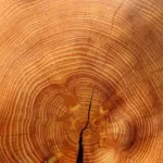 Hvor stort dæklag skal armering i terrændæk have?