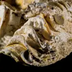 Sådan afkalker du køkkenarmaturet skånsomt med eddike