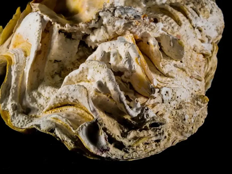 Sådan afkalker du køkkenarmaturet skånsomt med eddike