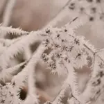 Sådan udfører du en frostfri sokkelhals ved et terrændæk