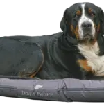 Vælg pudebetræk, der tåler hundehår og snavs